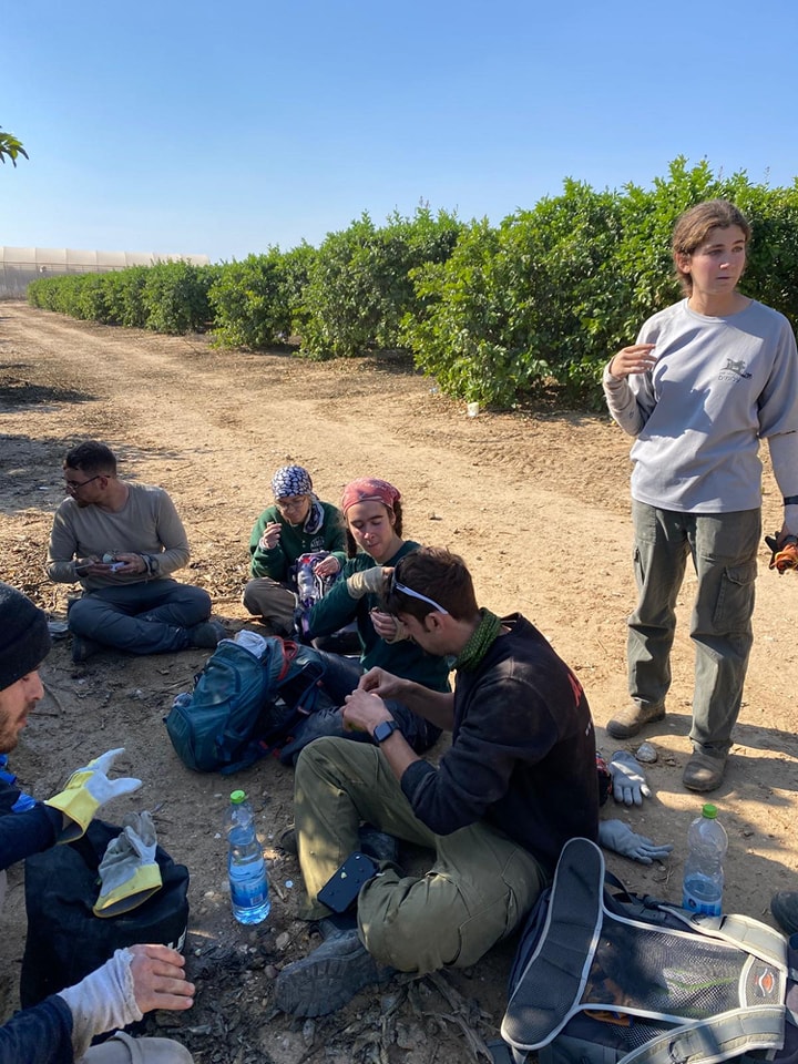 49fb32d1e422ba4c040e1090f8bc040acf4ddbdc