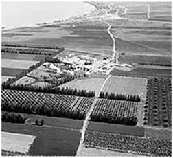 הקיבוץ הראשון