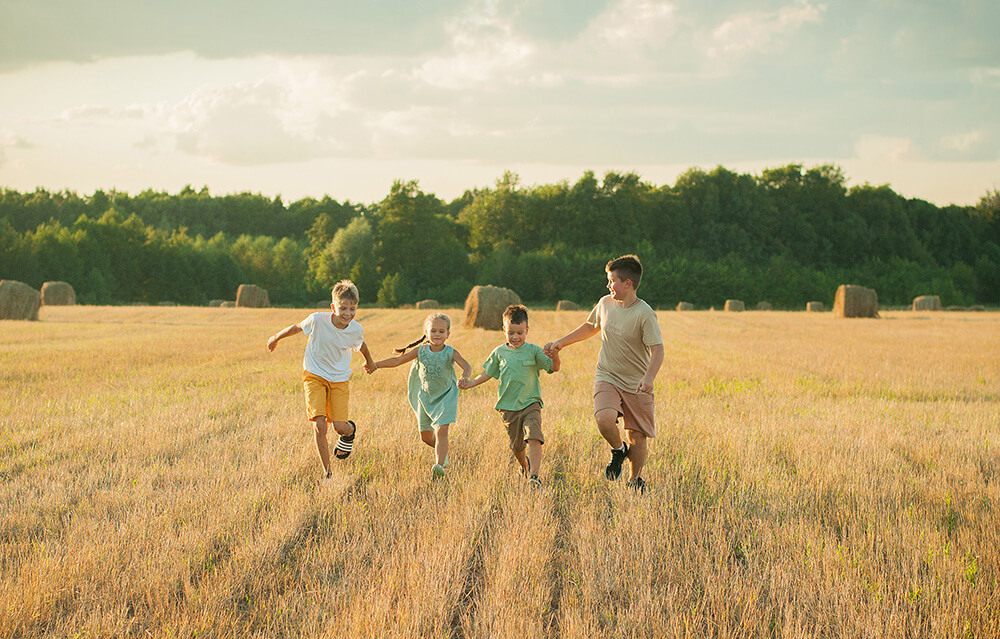 קיבוץ מתחדש