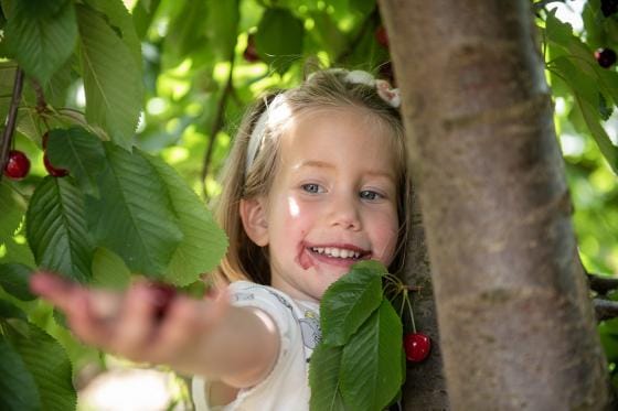תחייה וצמיחה