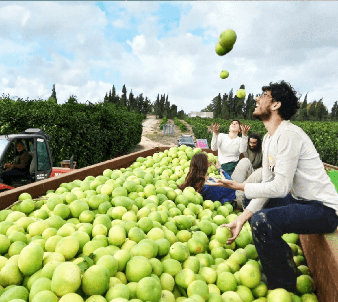 f105209b3442a687983f4f6381786cc5970d1182 (1)