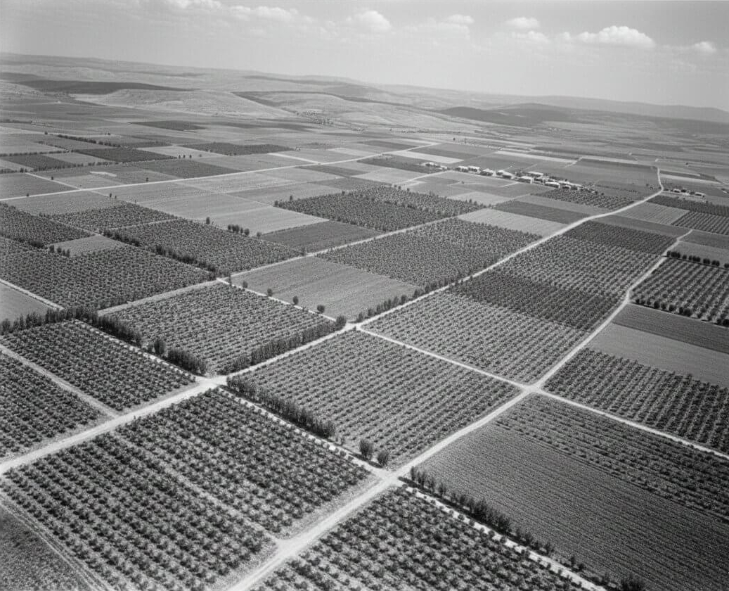 הקיבוץ הראשון