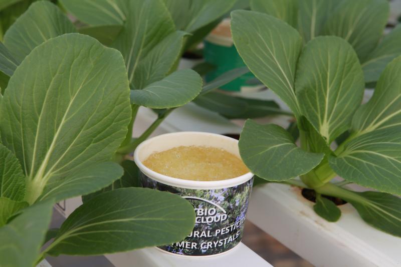 ביוקלאוד בע"מ