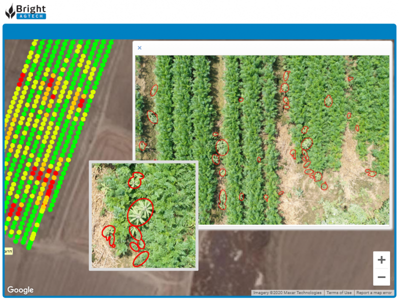 Bright Agtech- "ברייט אג-טק"