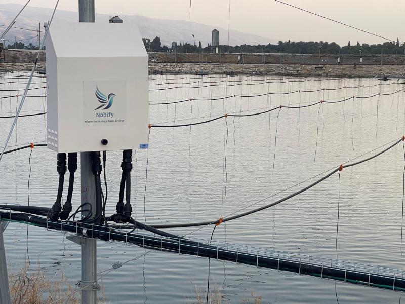 נוביפיי / Nobify